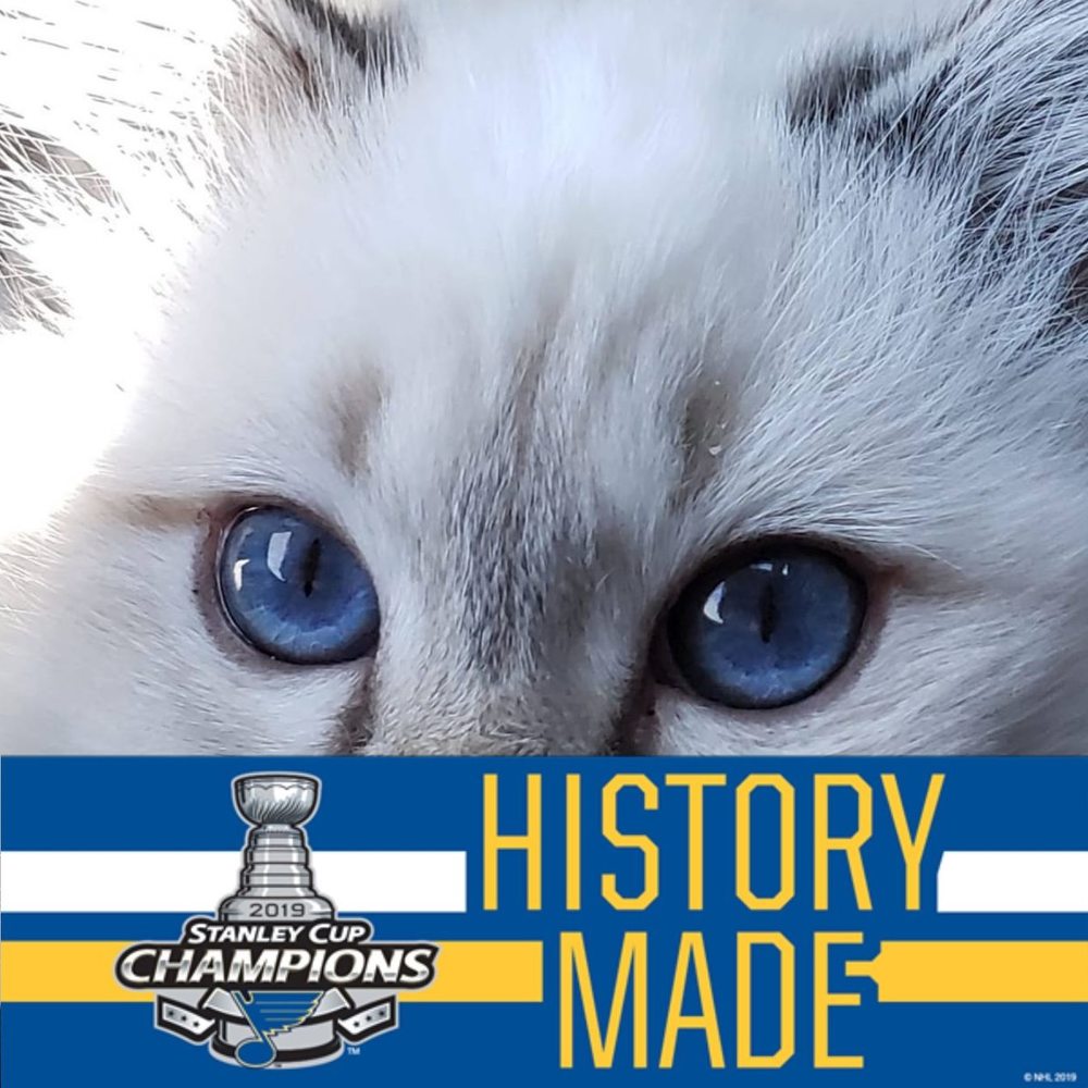 Meet your Posher, Lori